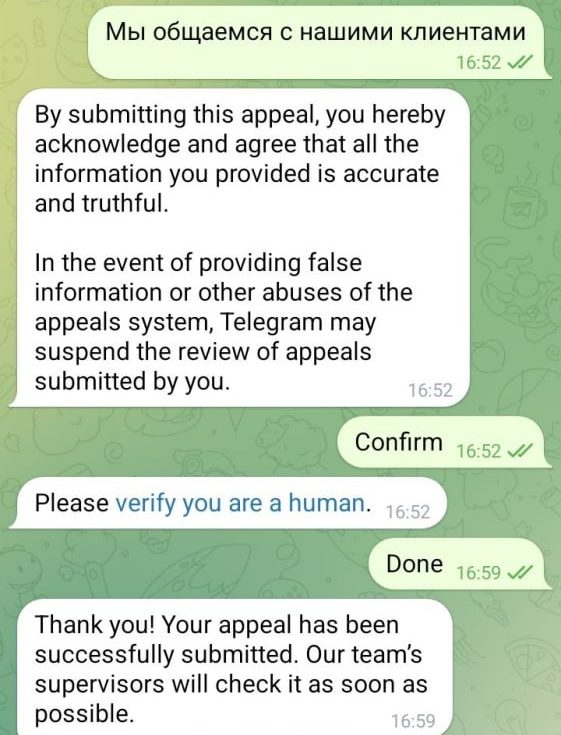 Confirmation of the appeal and the human verification step