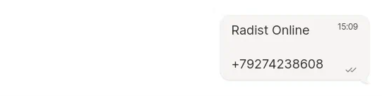 A sent vCard file in a RadistWeb chat