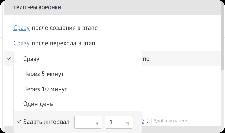 Задержка запуска salesbot Задержка в 1 минуту в настройках триггера