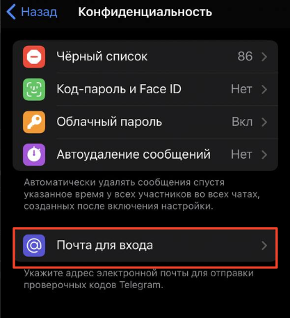 Раздел «Почта для входа» в Telegram Раздел «Почта для входа» в Telegram