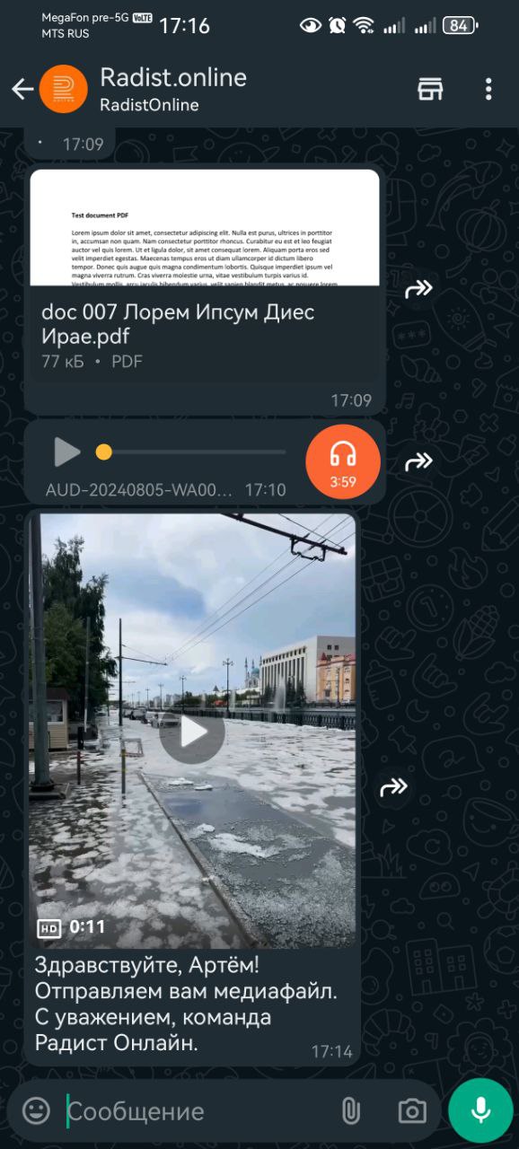 Пример отправленных файлов с превью в WhatsApp