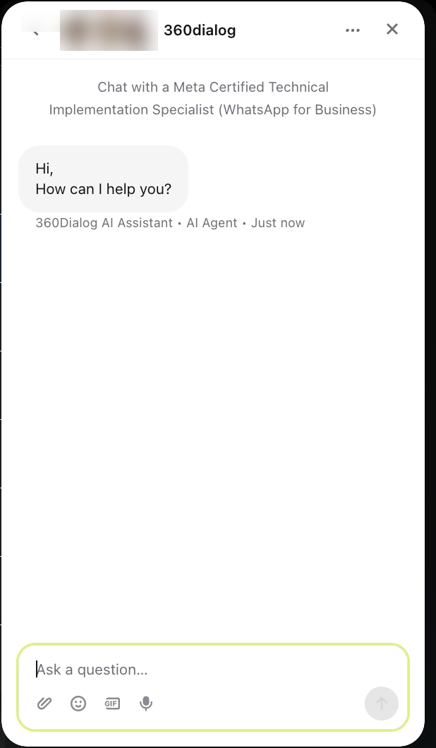 Чат с поддержкой 360Dialog